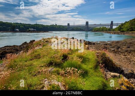 The Britannia Bridge from a small island in the Menai Strait at low-tide, Anglesey, North Wales Stock Photo