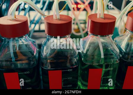 Experimental setup for enzymatic synthesis by genetically modified bacteria in a microbiological laboratory. Cell culture flasks and measuring instrum Stock Photo