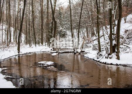 A stream flows leisurely through the snowy forest in winter. Stock Photo