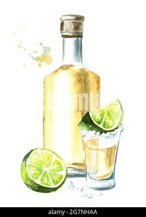 Alcohol drink Tequila, yellow bottle of mexican cactus booze, full shot glass with slice of lime and salt. Hand drawn watercolor vertical illustration Stock Photo