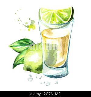 Tequila shot with fresh green lime and salt. Hand drawn watercolor  illustration isolated on white background Stock Photo