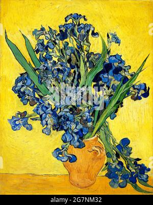 Van Gogh. Irises by Vincent van Gogh (1853-1890), oil on canvas, 1890 Stock Photo