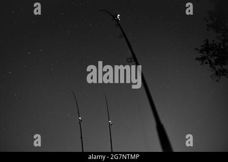 Low angle shot of fishing rods on the shore under a starry sky at