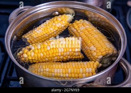 The corn is boiled in a saucepan. Cooking corn cobs. Delicious and healthy organic food. Seasonal summer meals. Stock Photo