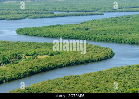 Mangrove in Paraiba River, Joao Pessoa, Paraiba, Brazil on March 10, 2010. Aerial view. Stock Photo
