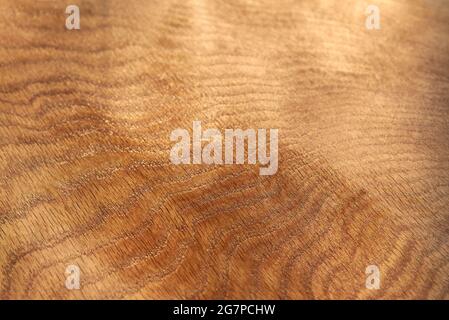 Varnished oak board background, natural wooden texture, close-up. Stock Photo