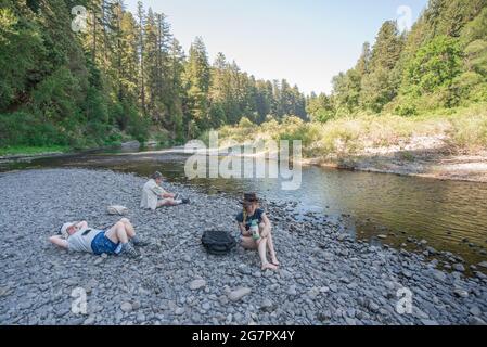 A family rests along the river in humboldt redwoods state park surrounded by endangered redwood trees (Sequoia sempervirens) in Northern California. Stock Photo