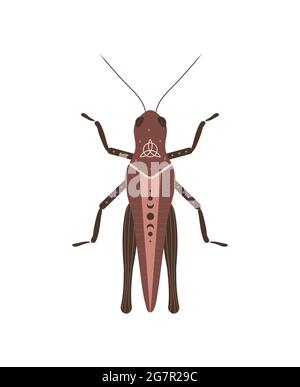 Boho grasshopper. Insect with celestial elements. Witch and magic symbol. Abstract hand drawn vector illustration in bohemian style Stock Vector