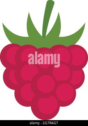 Fruit raspberry icon. Flat illustration of fruit raspberry vector icon isolated on white background Stock Vector