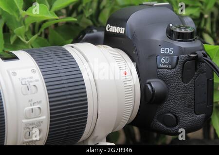 デジタル一眼 EOS 6D Mark II &amp; EF70-200mm F2.8L Canon-EOS-6D-Mark-II-with-