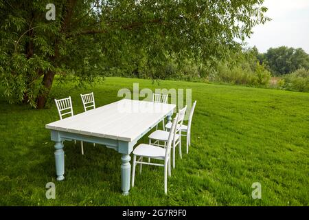 White table with chairs located on green grass under lush tree on summer day in field Stock Photo