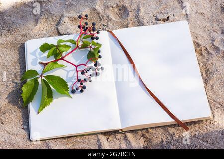 Notepad sun glare grapes. Summer minimalistic composition on the beach. Top view of a flat layout from an open clean white notebook. Conceptual summer Stock Photo