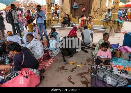 Haridwar, India - July 2021: Pilgrims resting next to a cow near the Ganges River in Haridwar on July 14, 2021 in Uttarakhand, India. Stock Photo