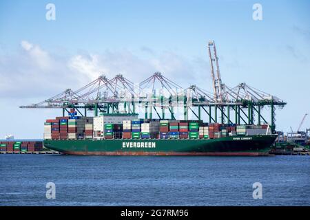 Ever Lenient Container Cargo Ship Evergreen Line In Port Colon Republic Of Panama Against A Background Of Cranes Stock Photo