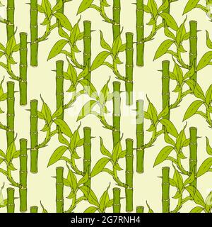 Bamboo pattern seamless hand drawing doodling on light background. Vector illustration Stock Vector