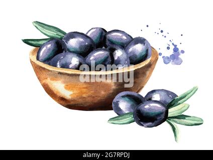 Bowl with ripe black olives. Hand drawn horizontal watercolor ...