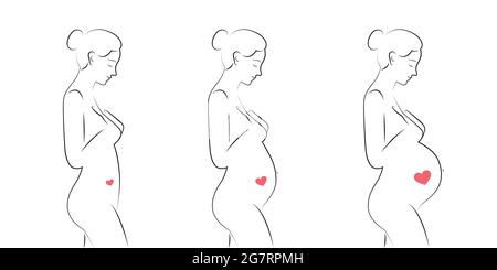 pregnant woman waiting for baby trimester set Stock Vector