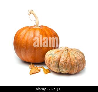 Two pumpkins of different varieties and shapes with autumn leaves isolated on a white background. Side view. Stock Photo