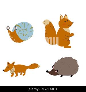 animals set of squirrel, hedgehog, fox, snail.  Stock Vector