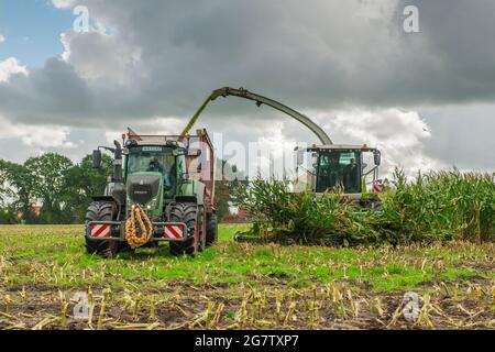 Esens, Germany - October 07, 2020: Corn harvesters consisting of corn chopper and tractor with tipping trailer under a heavily cloudy sky. Stock Photo