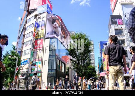 Tokyo, Japan. 16th July, 2021. A giant cat appears on Shinjuku's 3D billboard.At Tokyo's busy shopping and business area of Shinjuku, a giant 3D cat was displayed on a 4K billboard to greet people. 'I thought it was a real cat,' says a pedestrian while passing by and taking photos. Some students say the cat looks really cute and bigger than what they saw on social media. (Photo by James Matsumoto/SOPA Images/Sipa USA) Credit: Sipa US/Alamy Live News