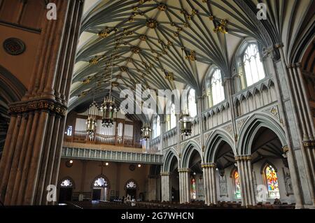 The interior of the historic St. Dunstan's Basilica in downtown Charlottetown, Prince Edward Island, showing the vaulted ceiling and organ loft. Stock Photo