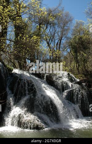 Ifrane Spring Ifrane river, Ifrane national park, Middle Atlas, Morocco, Africa Stock ...