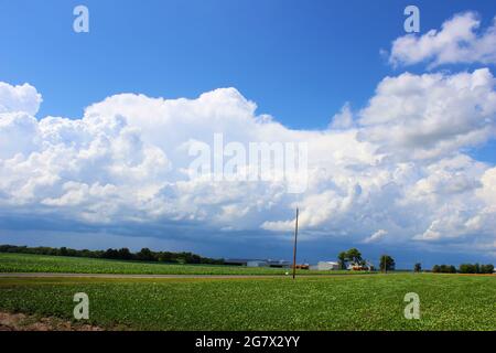 Towering Cumulonimbus Storm in an Open Field Stock Photo