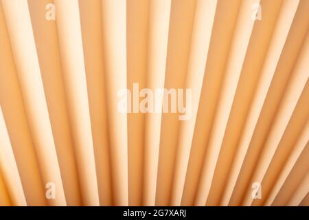 abstract embossed paper background, origami beige texture. Stock Photo