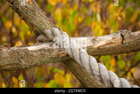 Rustic rope tied in wooden logs. Wooden Pole Fence with Rope Hanging. Rope hangs on a wooden fence. Close up Stock Photo