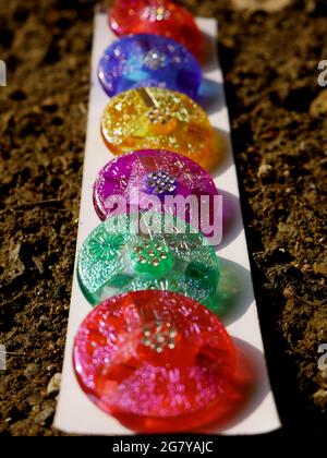 Multicolor sari plate pin displayed on sequence at green natural wall backdrop. Stock Photo