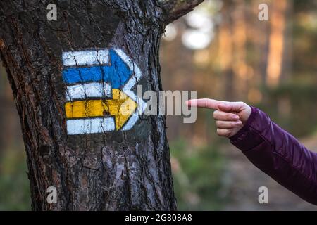 Lost hiker pointing at hiking trail directional sign in forest. Tourist arrow symbol on tree Stock Photo