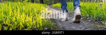 Hiking on footpath in forest. Panoramic view of hiker legs walking at woodland. Rear view of hiking boots Stock Photo
