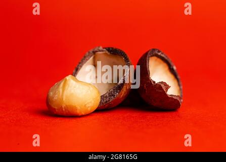open macadamia nut close-up on a red background. Stock Photo