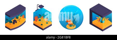 Isometric aquaruim set with four isolated aquariums of different shape with fishes and aquascaping elements seaweed vector illustration Stock Vector