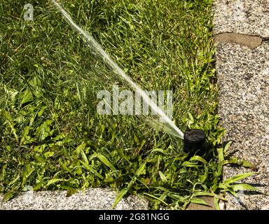 A jet of water from the hose of automatic lawn sprinkler watering green grass. Sprinkler with an automatic system. Garden irrigation system watering l