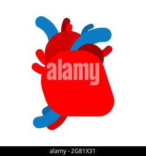 Anatomical heart isolated. Internal organ vector illustration Stock Vector