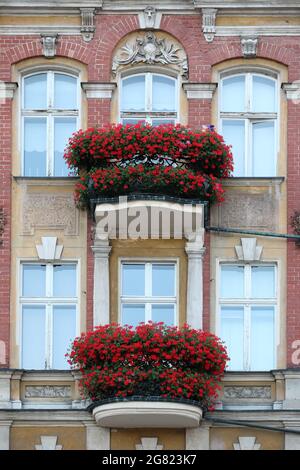 Balconies full of red flowers that are beautifully smelling Stock Photo