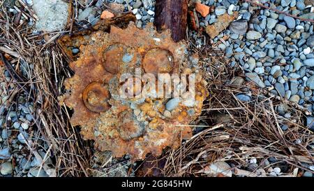 A rusted mechanical gear lies dumped on a river shore with stones and driftwood sticks Stock Photo