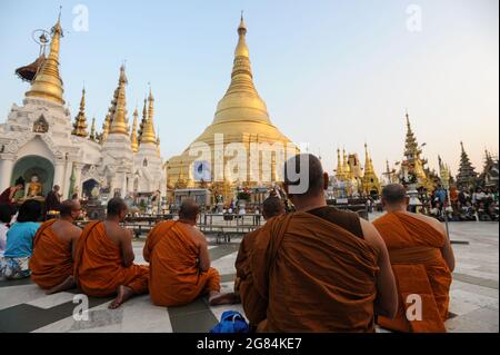 21.01.2014, Yangon, Myanmar, Asia - A group of Buddhist monks and visitors sit in front of the gilded stupa of the Shwedagon Pagoda and pray. Stock Photo
