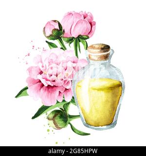 A bottle of essential oil with fresh white peony flowers in the background  Stock Photo - Alamy