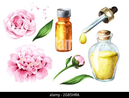 A bottle of essential oil with fresh white peony flowers in the background  Stock Photo - Alamy