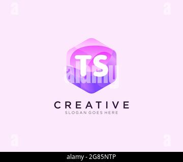 TS initial logo With Colorful Hexagon Modern Business Alphabet Logo template Stock Vector