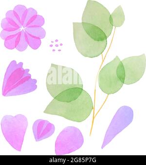 Set of watercolor botanical elements flower petal bud core branch leaves, isolated. Vector illustration Stock Vector
