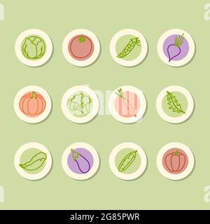 Organic food stickers labels. Natural healthy vegetables, fresh food logo stickers. Eco food . Beets carrots salad eggplant cabbage pumpkin peas cucumber pepper tomato broccoli arugula. Vector  Stock Vector