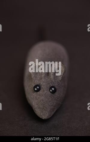 gray toy mouse on a dark background. Stock Photo