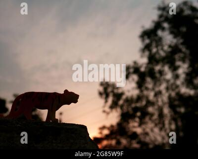 Tiger toy animal silhouette at natural sunset sky backdrop, kids playing object natural image. Stock Photo