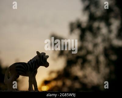 Zebra toy animal stand at beautiful sunset sky background silhouette, kids playing object natural image. Stock Photo