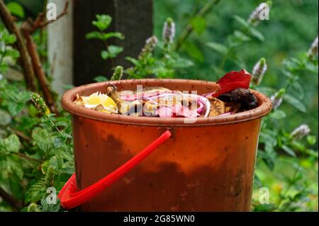 Kitchen scraps waiting to be taken to the compost bin, there are fruit flies around the top enjoying the feast Stock Photo