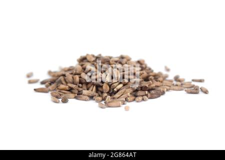 milk thistle seeds on white isolated background Stock Photo